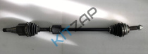 ������ ���� �������� ������_����_0