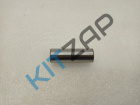����� ���������