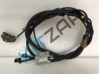�������� ���������� ����� ���� � ������ ���������� ����� �����